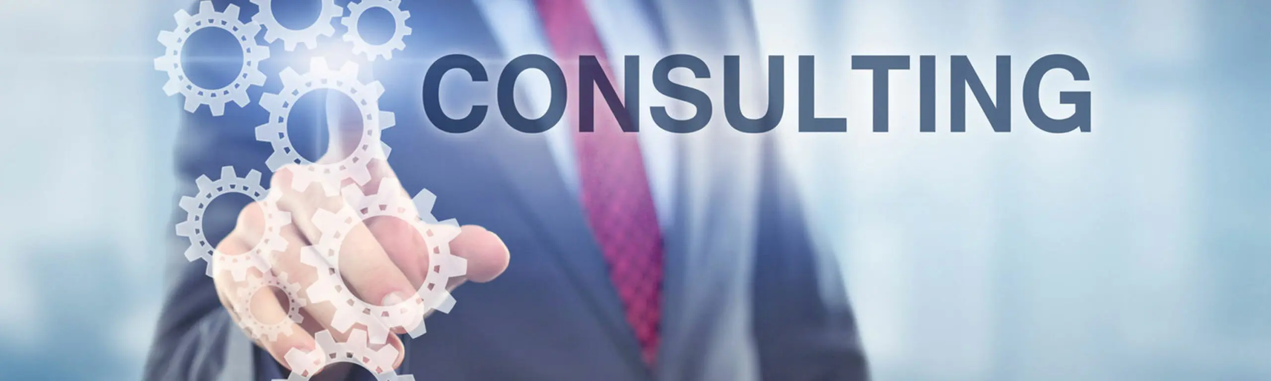 You are currently viewing The Role of CX Consulting in Driving Business Success: How Consultants Help Companies Thrive in the Experience Economy